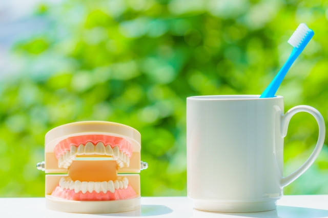 入れ歯の掃除、正しくできていますか？おすすめグッズと毎日の正しいお手入れ方法